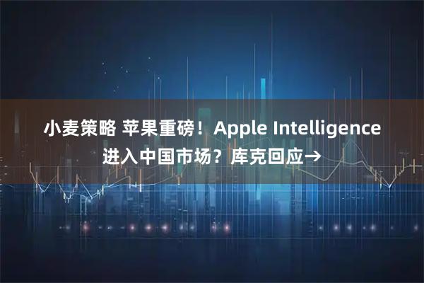 小麦策略 苹果重磅！Apple Intelligence进入中国市场？库克回应→
