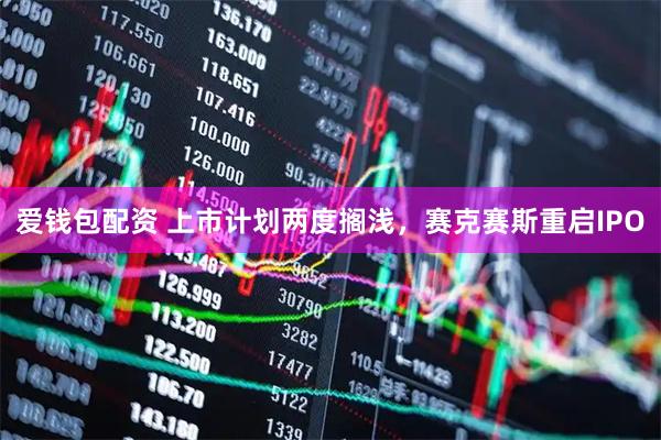 爱钱包配资 上市计划两度搁浅，赛克赛斯重启IPO