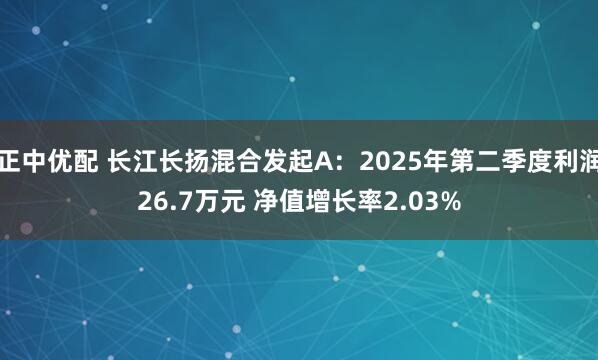 正中优配 长江长扬混合发起A：2025年第二季度利润26.7万元 净值增长率2.03%