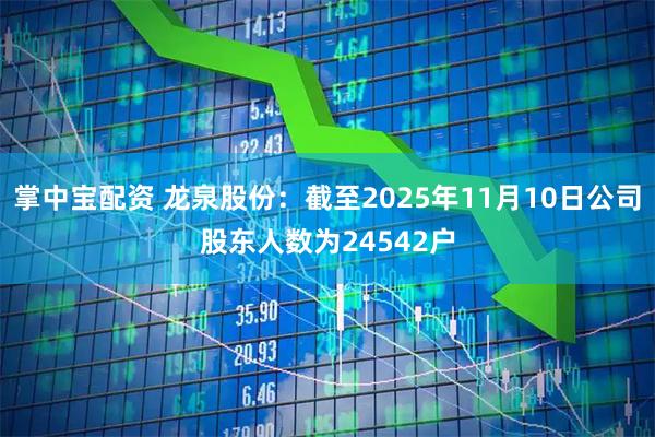 掌中宝配资 龙泉股份：截至2025年11月10日公司股东人数为24542户